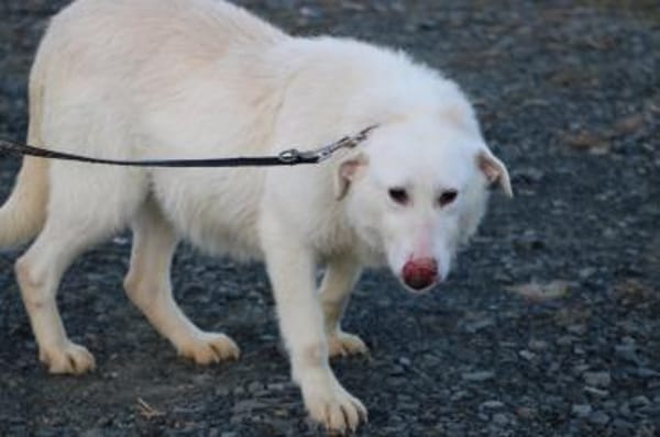 Maly - perfekt für Familie mit Kindern