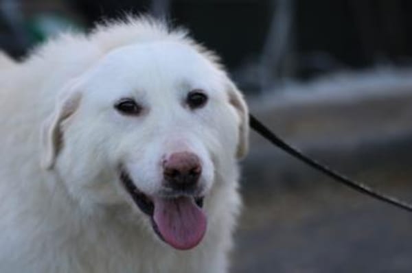 Maly - perfekt für Familie mit Kindern