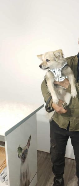 Sammy möchte ein Zuhause