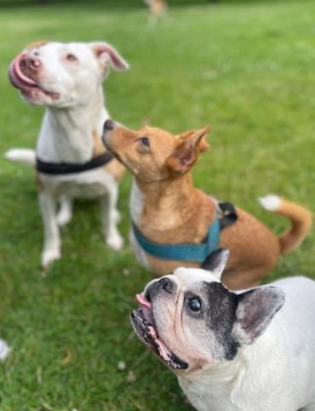 Timo aus 47799 Krefeld sucht sein Glück!