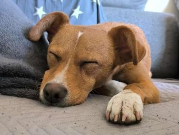 Timo aus 47799 Krefeld sucht sein Glück!