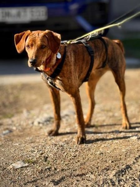 🧡Emilia - in Deutschland auf Pflege