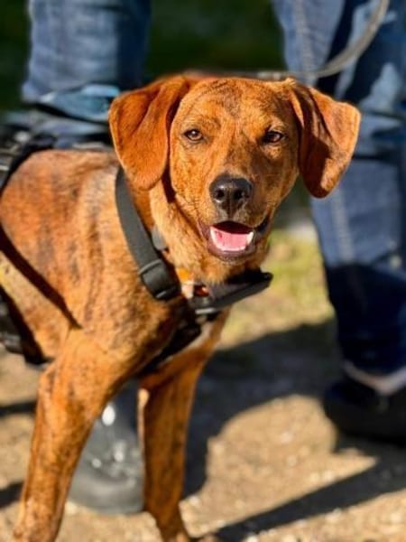 🧡Emilia - in Deutschland auf Pflege