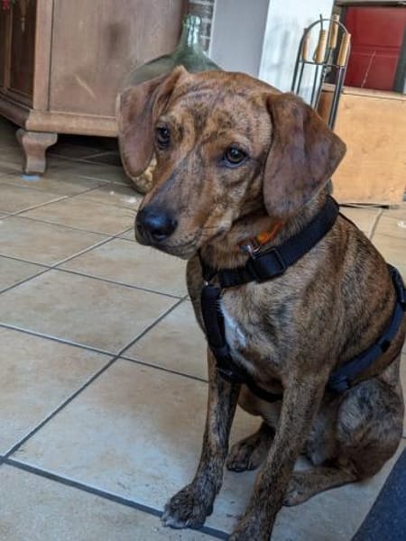 🧡Emilia - in Deutschland auf Pflege