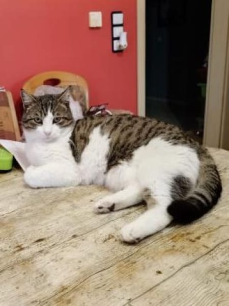 Gesellige Souna sucht ihr Glück