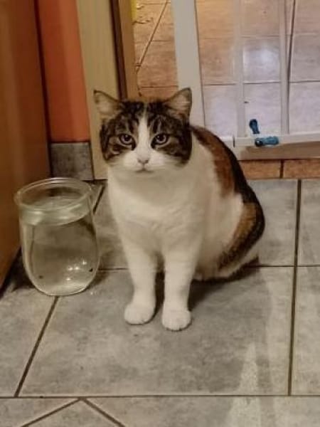 Gesellige Souna sucht ihr Glück