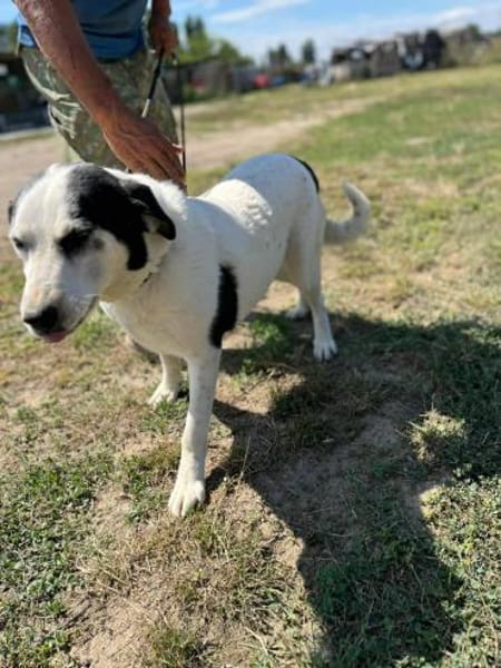 Ich habe noch Hoffnung