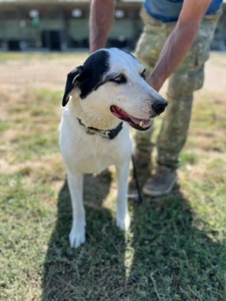 Ich habe noch Hoffnung