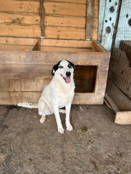 Ich habe noch Hoffnung