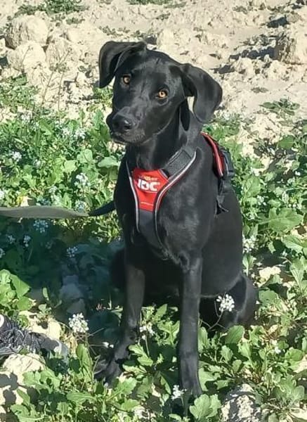 Suri verliert ihr Zuhause