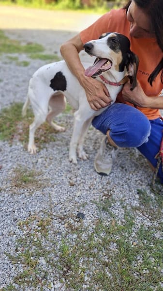 💜Lea - in Deutschland auf Pflegestelle