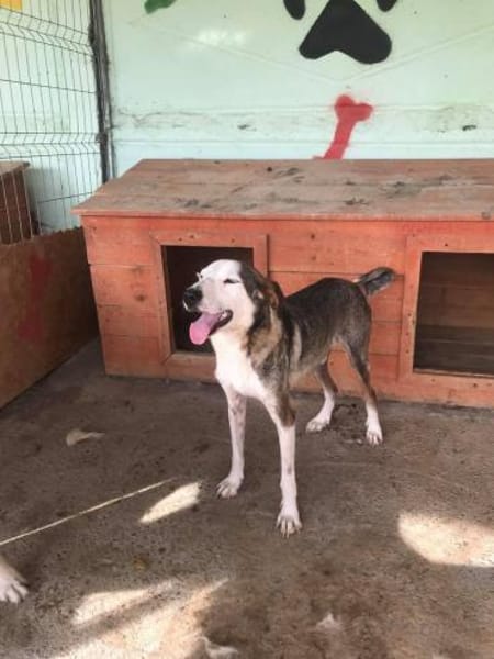 Warun sieht mich keiner ?