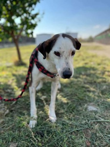 Warun sieht mich keiner ?