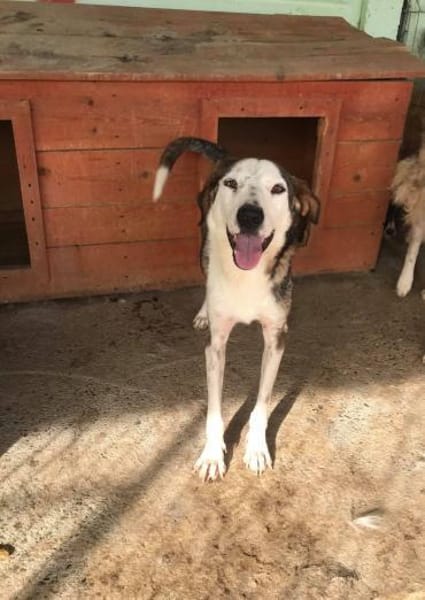 Warun sieht mich keiner ?