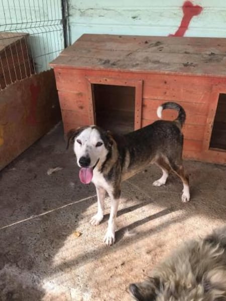 Warun sieht mich keiner ?