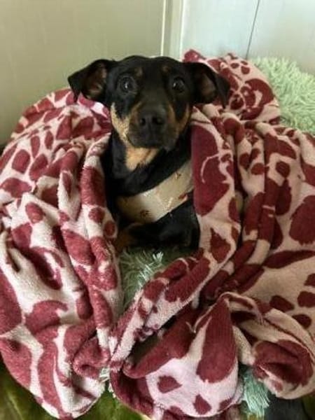 Babsi, su. verständnisvolle Menschen