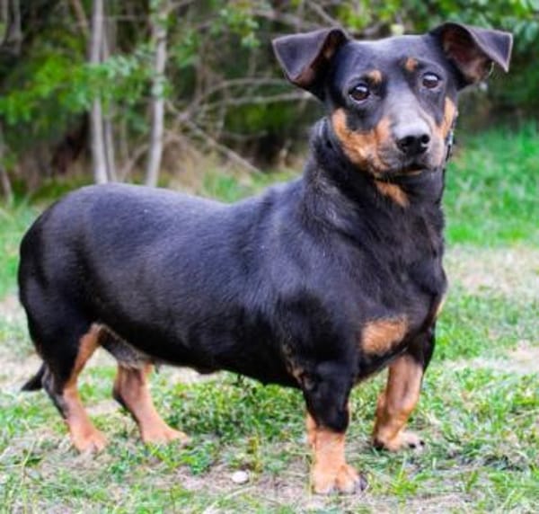 Babsi, su. verständnisvolle Menschen