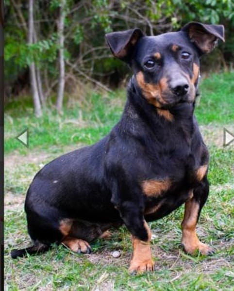 Babsi, su. verständnisvolle Menschen