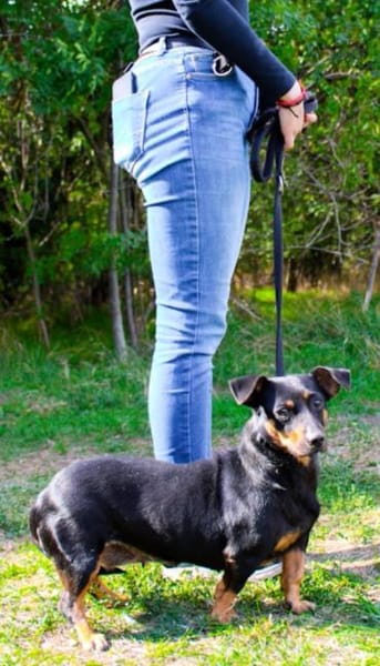 Babsi, su. verständnisvolle Menschen