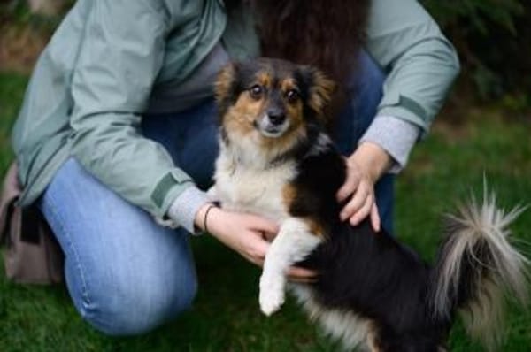 Wer schenkt Luca ein Zuhause?