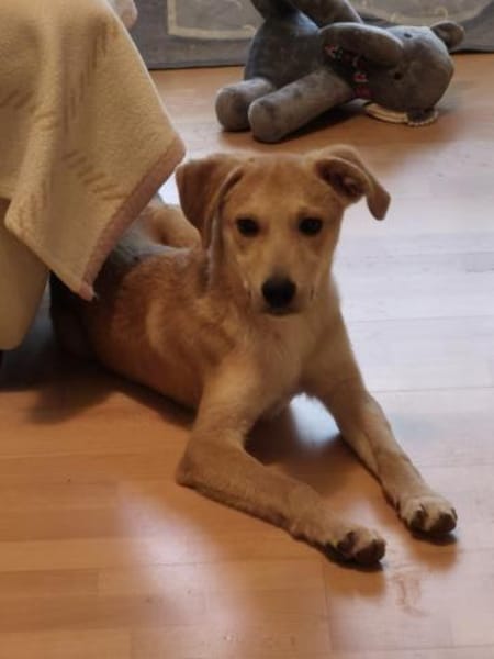 Pasqualino 🍀🍀🍀 ist ein kleiner Knirps