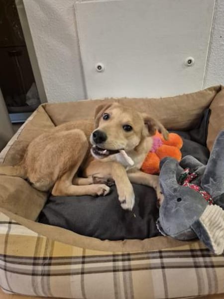 Pasqualino 🍀🍀🍀 ist ein kleiner Knirps