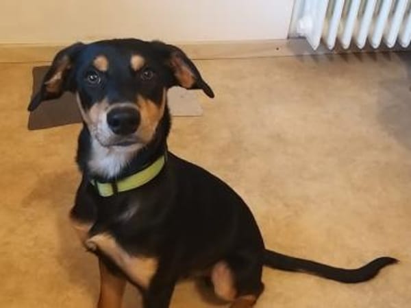 Branco möchte glücklich werden