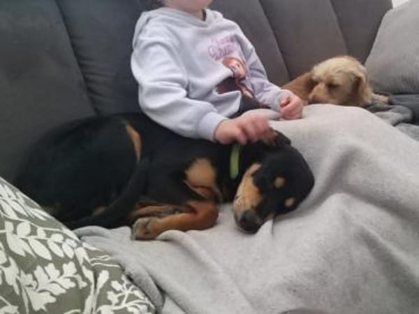 Branco möchte glücklich werden