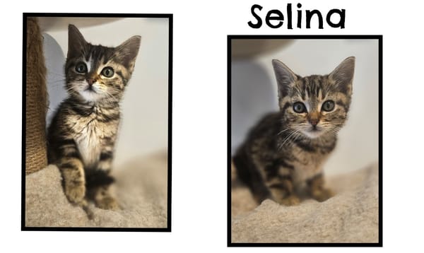 Selina (Réservée)
