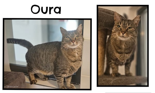 OURA