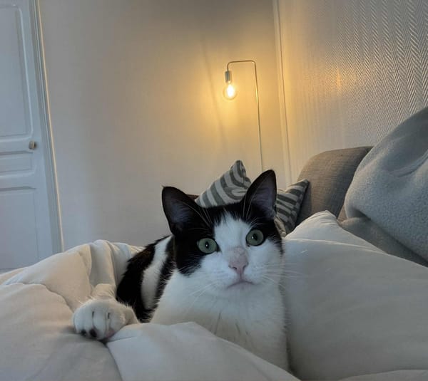 Poupette