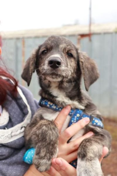 Milow ist ein lieber, süßer Kerl