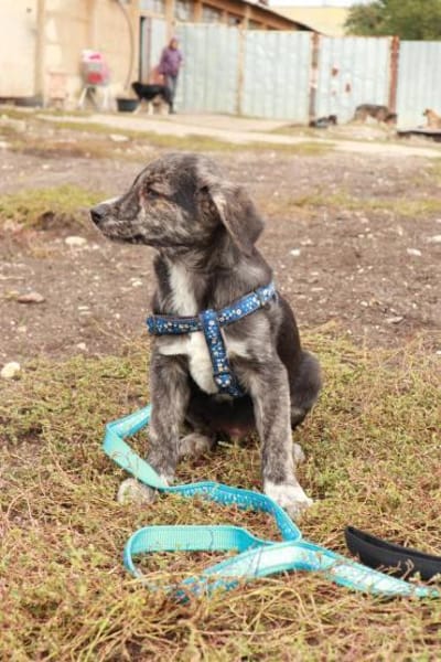 Milow ist ein lieber, süßer Kerl