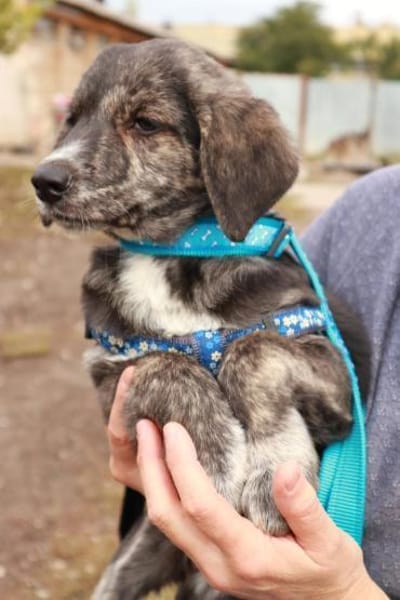 Milow ist ein lieber, süßer Kerl