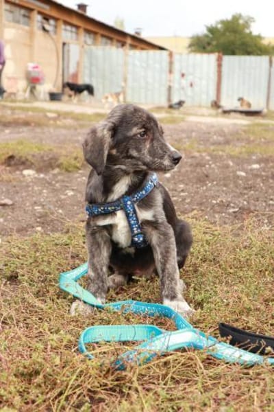 Milow ist ein lieber, süßer Kerl