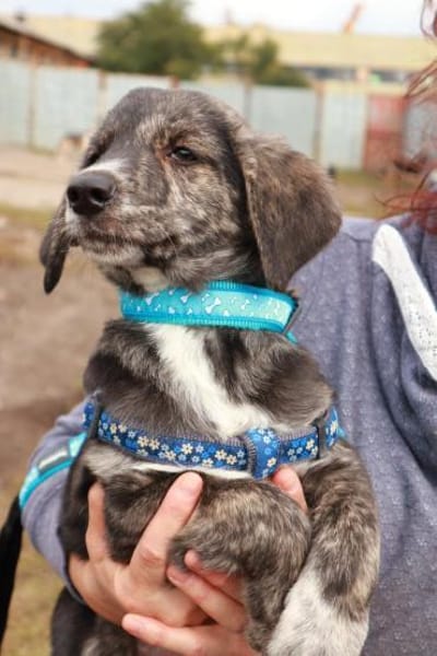 Milow ist ein lieber, süßer Kerl