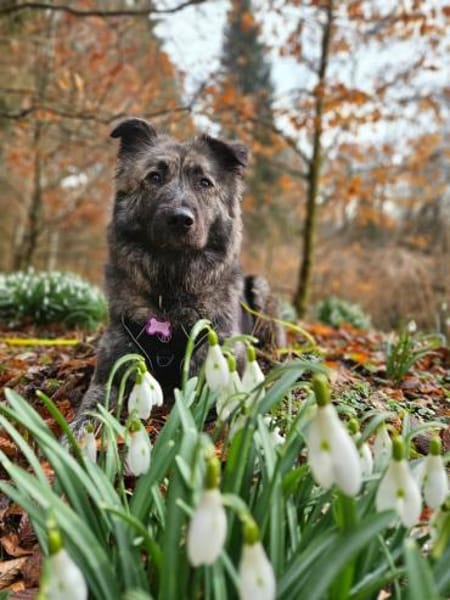 💛Raya 💛 sucht ihre Familie