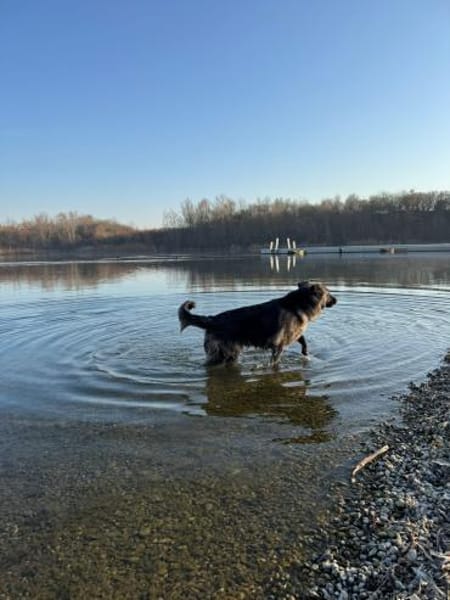 💛Raya 💛 sucht ihre Familie