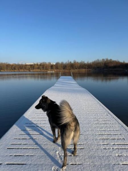 💛Raya 💛 sucht ihre Familie