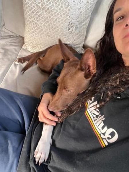 Siete1 sucht ein Zuhause