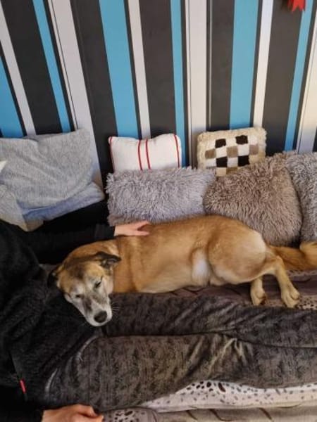 Arni ist ein unglaublicher Bube