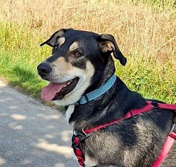 BUZZ  jung, stark und voller Liebe