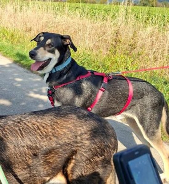 BUZZ  jung, stark und voller Liebe