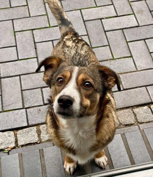 Ich bin Izzy - deine zukünftige....