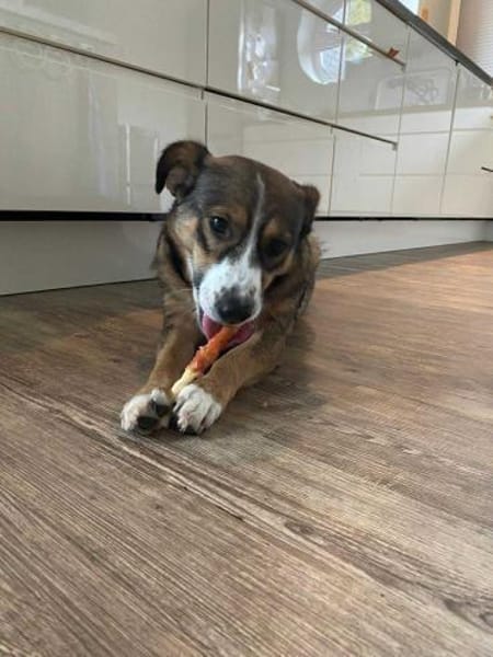 Ich bin Izzy - deine zukünftige....