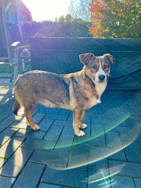 Ich bin Izzy - deine zukünftige....