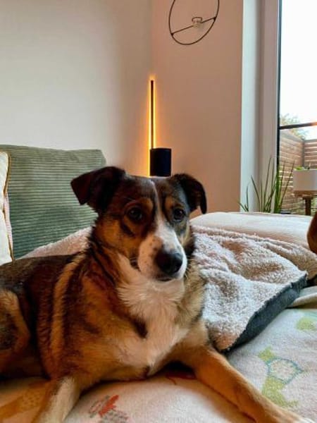 Ich bin Izzy - deine zukünftige....