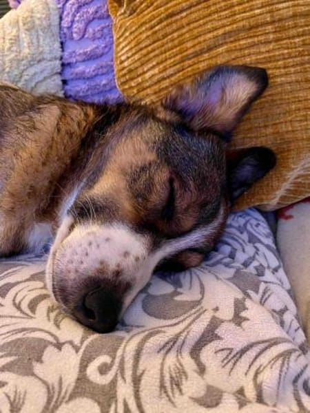 Ich bin Izzy - deine zukünftige....