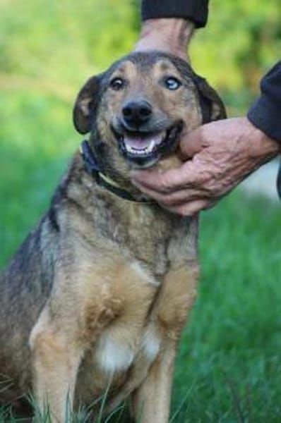 Cuno - zutraulich u. freundlich