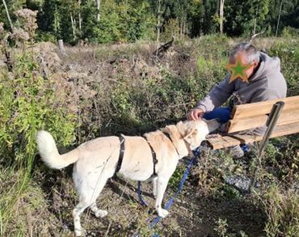 PUSCHKIN - Spaziergang ins Glück gesucht